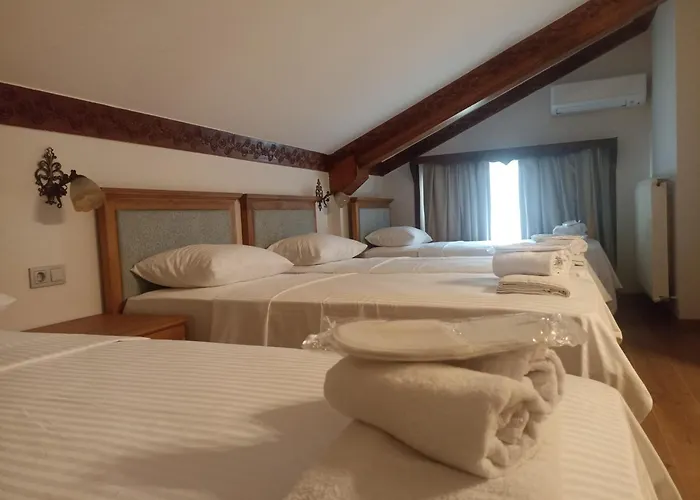 מלון Duru Hanim Konagi מודניה