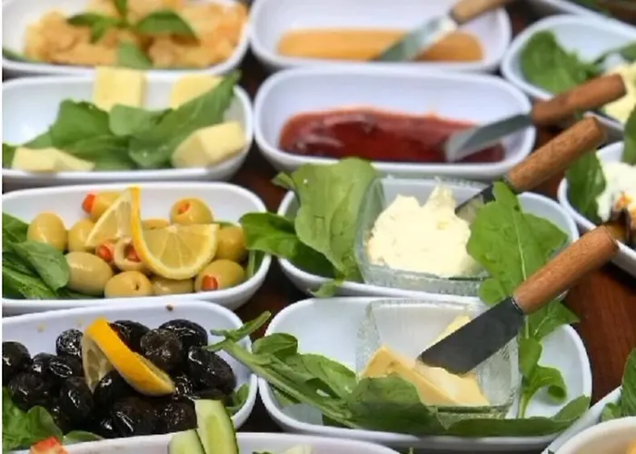 Duru Hanim Konagi * מודניה